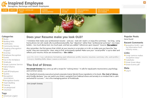 Atahualpa theme site design template sample