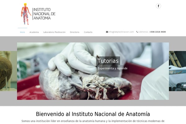 Medical Doctor theme site design template sample
