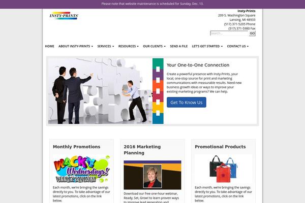 insty theme websites examples