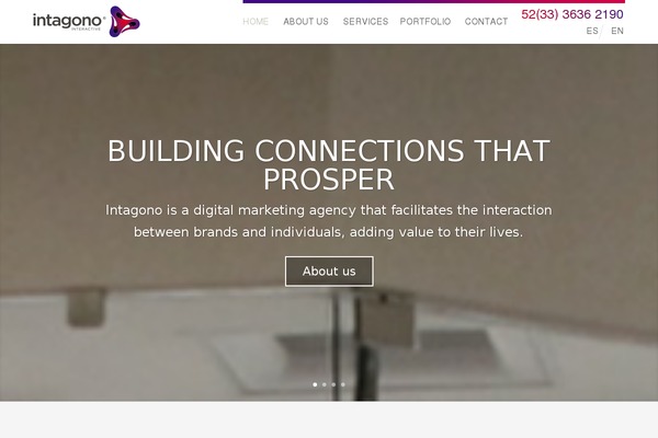 Enfold theme site design template sample