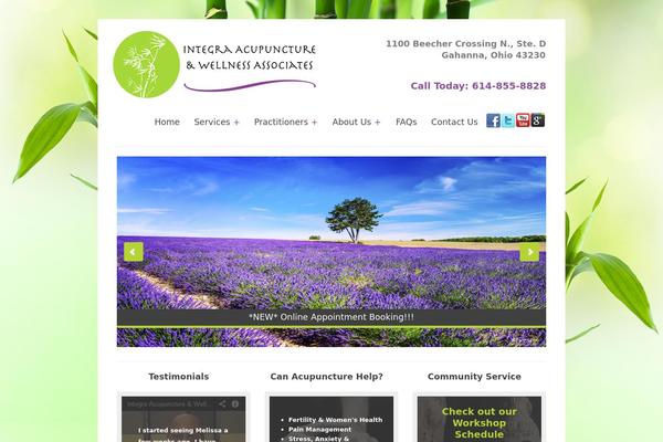 integra-acupuncture.com site used Modena