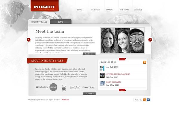 eBusiness theme site design template sample