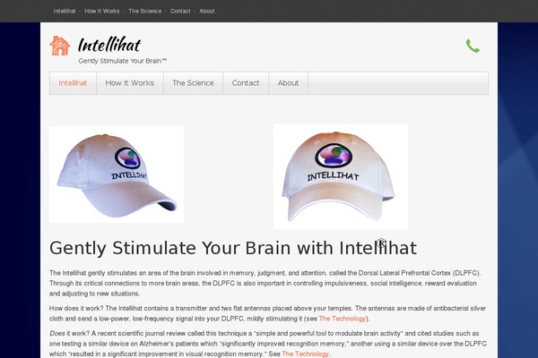 Rife Free theme site design template sample