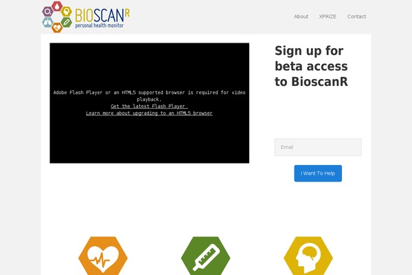 Nimva theme site design template sample