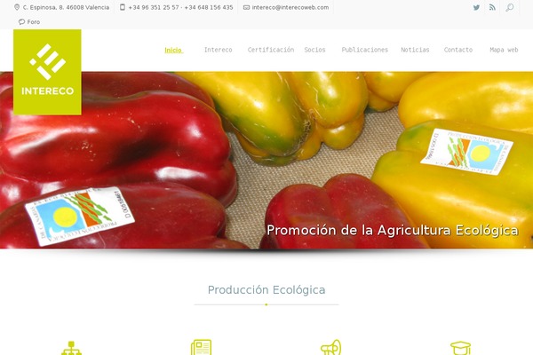 Xenia theme site design template sample
