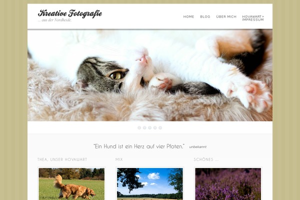intergalaxis.de site used Dandelion
