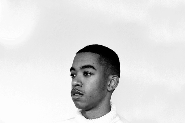 swotheme theme websites examples