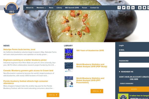 ShowTime theme site design template sample