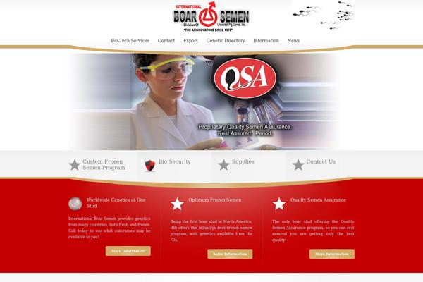 Exquisite theme site design template sample