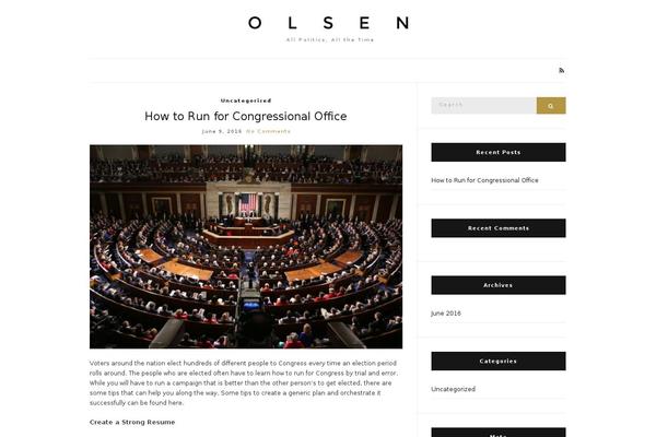 Olsen Light theme site design template sample