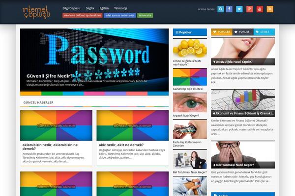 Optimablogs theme site design template sample