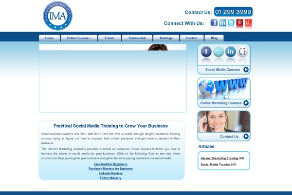 LighthouseInternetMarketingTheme theme websites examples