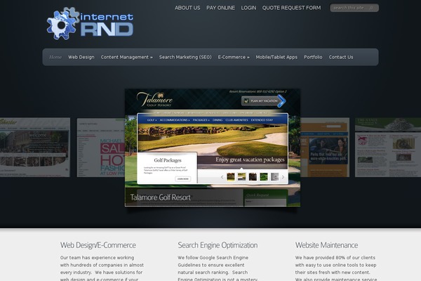 Envisioned theme site design template sample