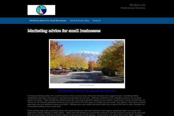 internetwebsupport.com site used Business Pro