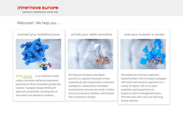 Salbii theme site design template sample