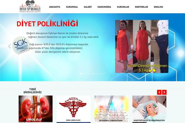 Limo theme site design template sample