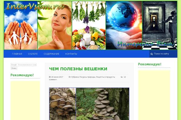 Emulator theme site design template sample