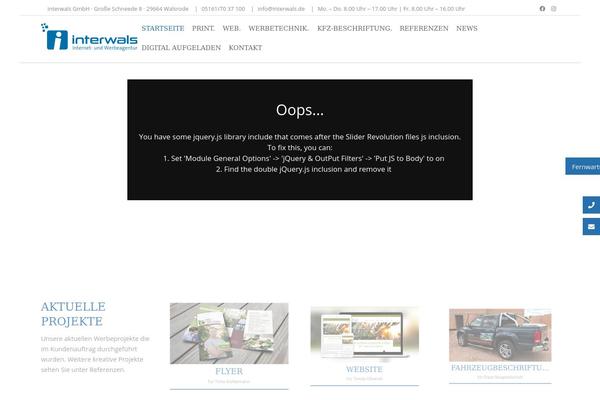 Site using Newsletter2go plugin