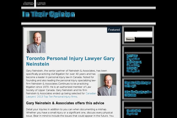 intheiropinion.com site used PahlawanWeb