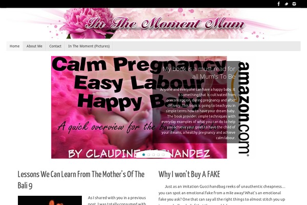Site using Facebook Comments by Vivacity plugin