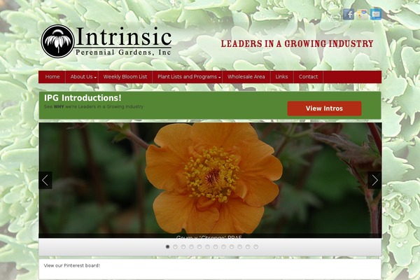 intrinsicperennialgardens.com site used iFeature Pro