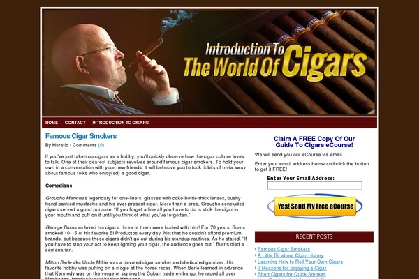 Flexx Blue theme site design template sample