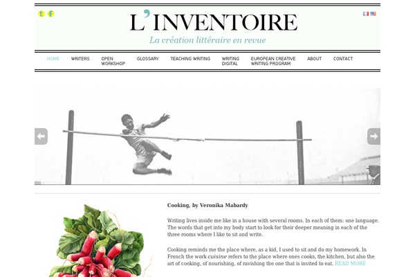 Site using Easy Social Icons plugin