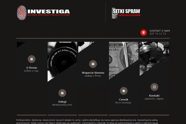 Themis theme site design template sample