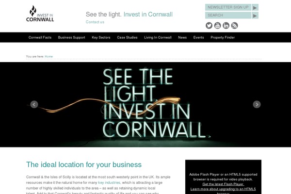 iic theme websites examples