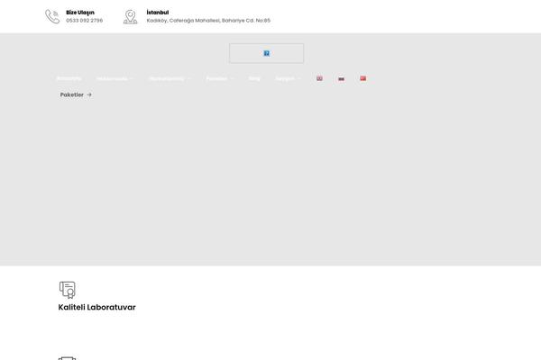 invitro.com.tr site used Leblix-child