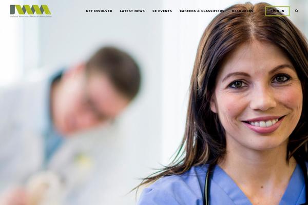 Alpha theme site design template sample