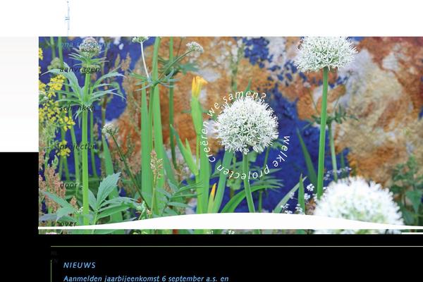 Iona theme site design template sample