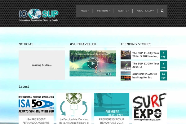 Immunity theme site design template sample
