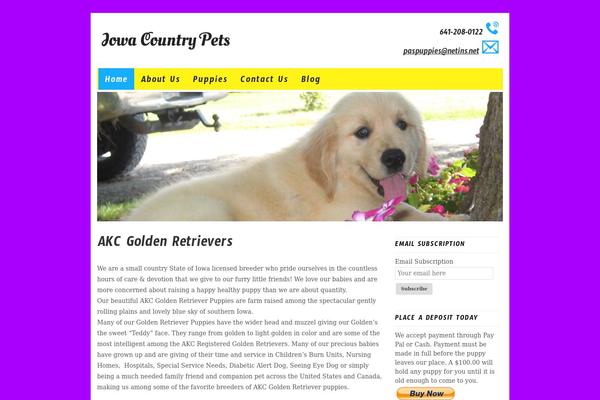 Site using Feedburner Email Subscription plugin