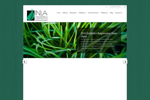 Chameleon theme site design template sample