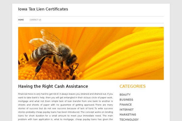 Tiny Forge theme site design template sample