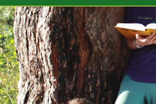 Eduma-child theme site design template sample