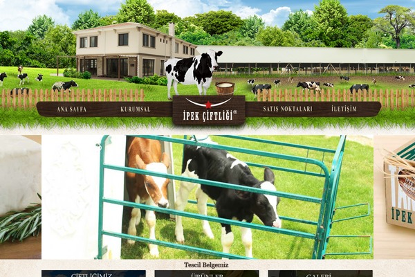 ipek theme websites examples