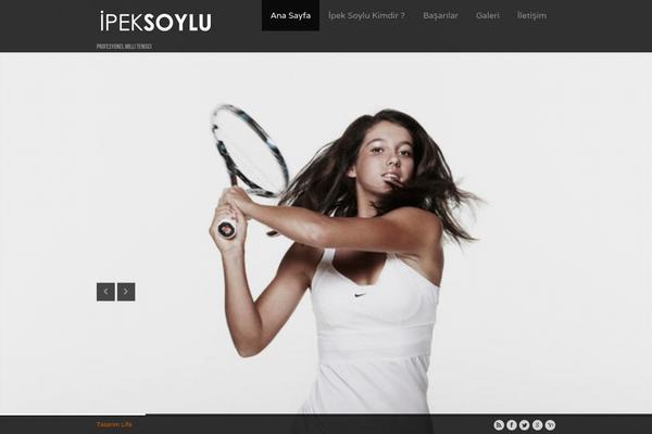Lensa theme site design template sample