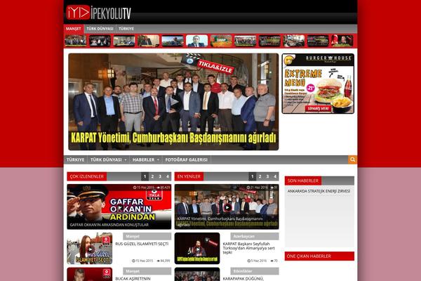 VideoPro theme site design template sample