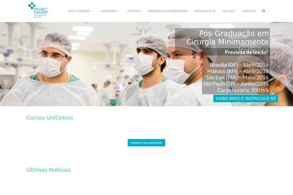 Apicona website example screenshot