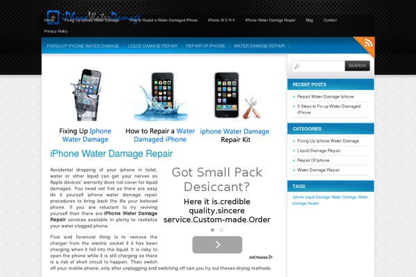 Colorbold theme site design template sample