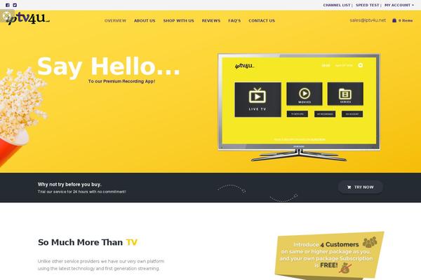 Leadinjection theme site design template sample