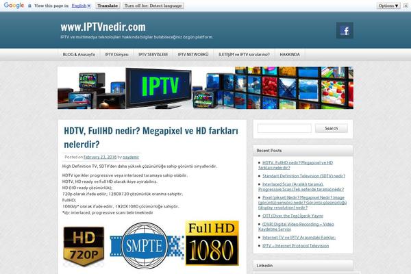 zeeNews theme site design template sample