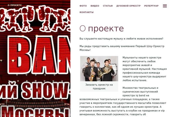 Site using Wp-yandex-metrika plugin