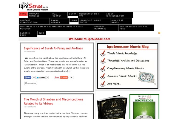 Site using Tenweb-speed-optimizer plugin