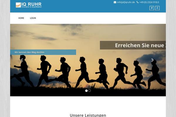 Enigma Premium theme site design template sample