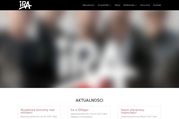 Divi Child theme site design template sample