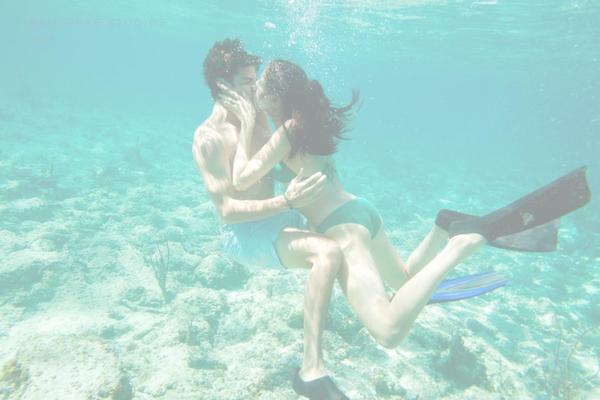 ira theme websites examples