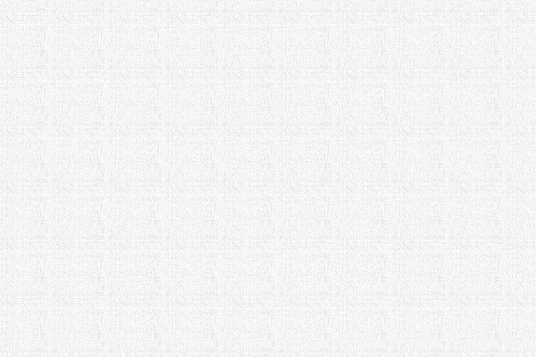 iraqs.net site used Iraqsoft